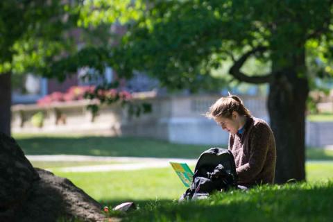 student on the lawn studying on campus