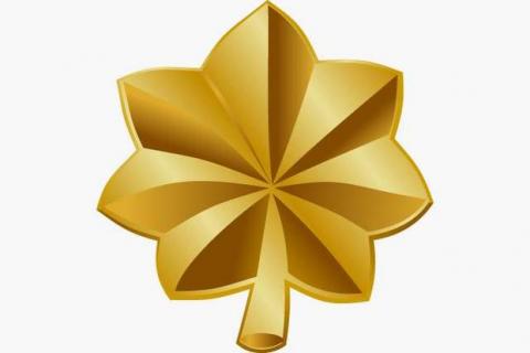 Major Insignia