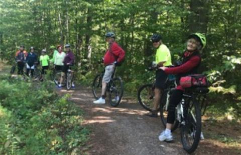 Bikers in a line on a forested trail