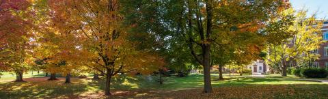 campus in autumn