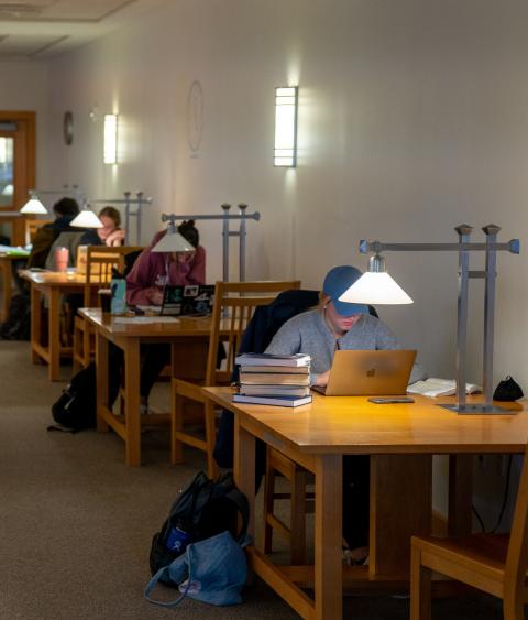 students studying in the library