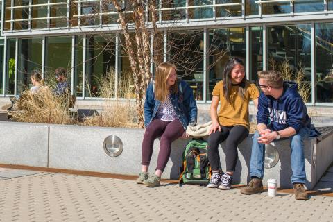 students in Paul College courtyard