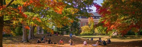 students in leaves