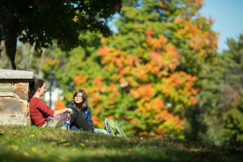 Students sitting in the fall