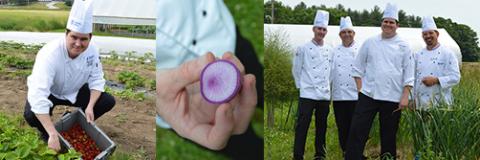 UNH dining chefs at the UNH high tunnels