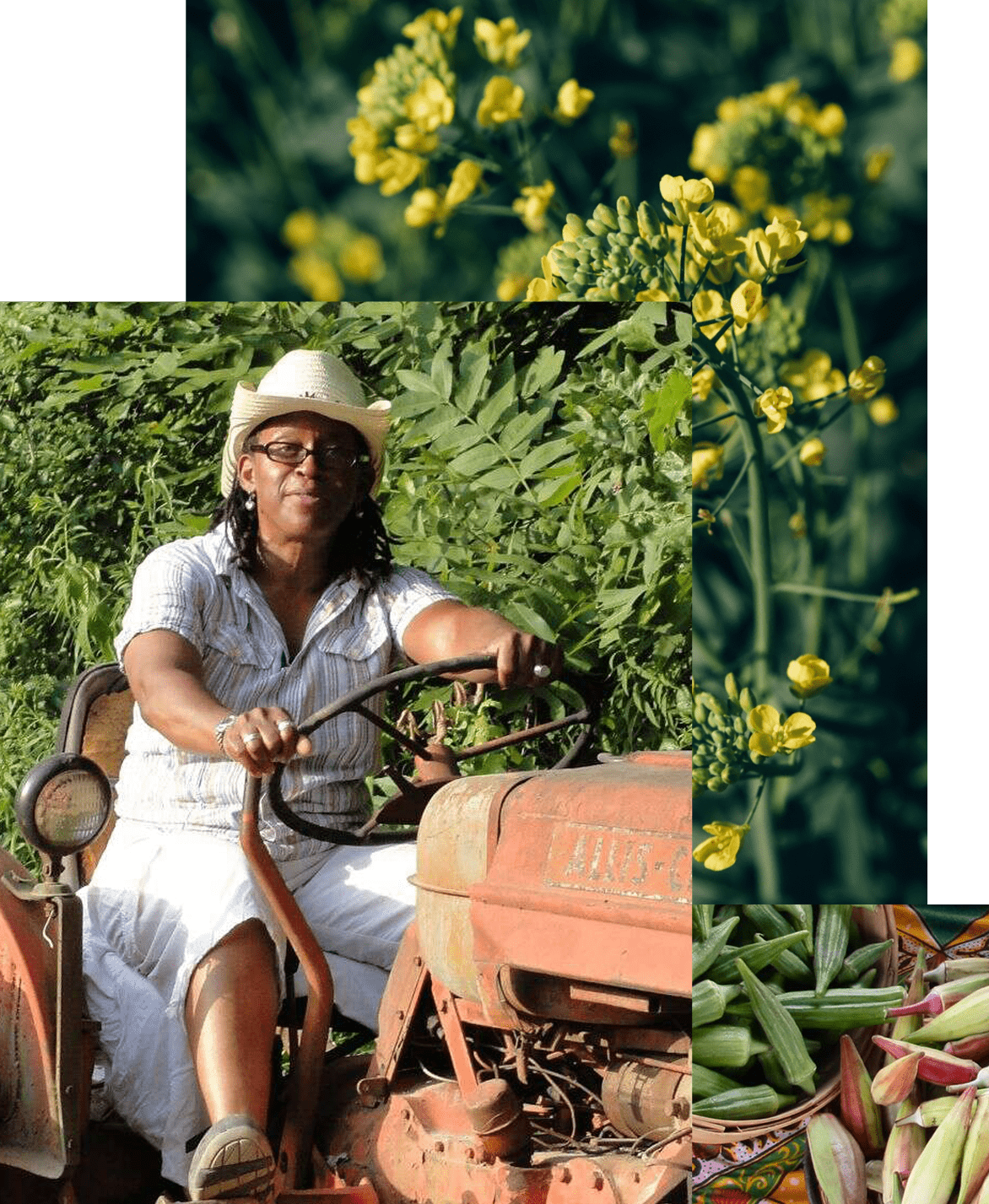 Dr. Gail Myers, founder of Farms to Grow Inc.