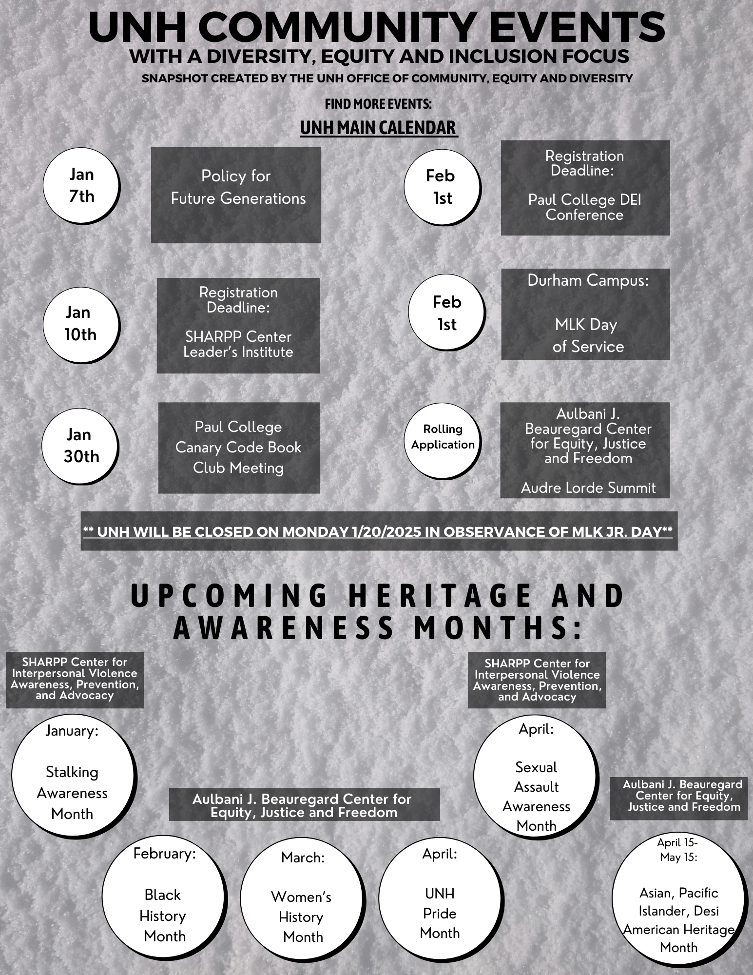 UNH DEI Snapshot - January 2025