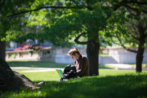 Student sits under tree with laptop