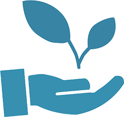 Summer Seed grant hand logo