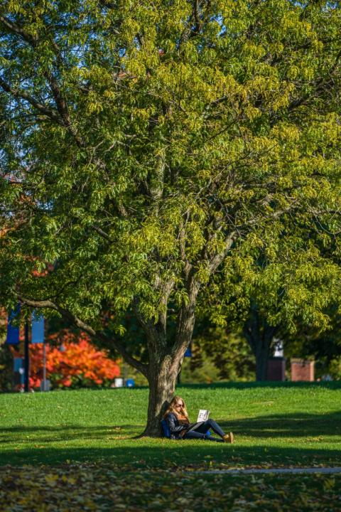 A student on their laptop lays under a tree