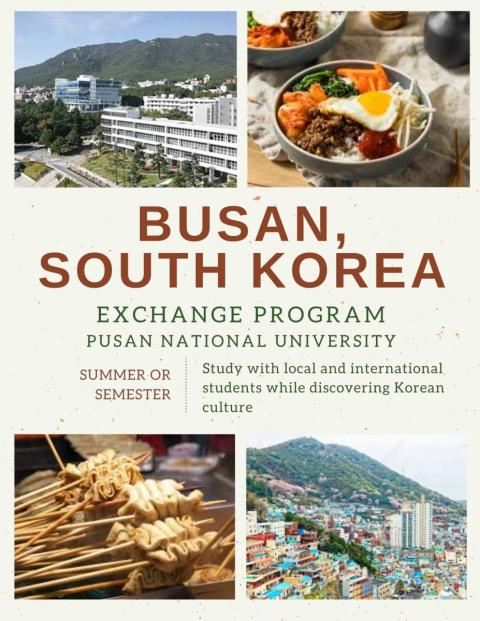 South Korea Program Flyer