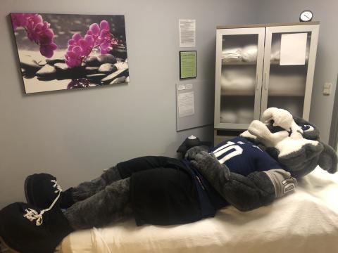 Wild E mascot on massage table