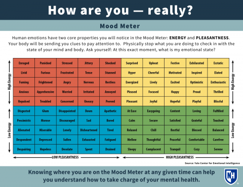 Mood Meter 