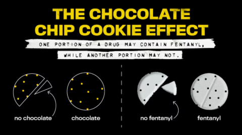 The chocolate chip cookie effect graphic from the CDC, showing that "One portion of a drug may contain fentanyl, while another may not" and illustrated with an image of a cookie with a slice taken out that contains no chocolate chips