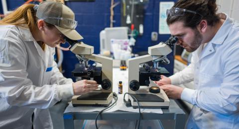 Two students in lab coats looking into microscopes
