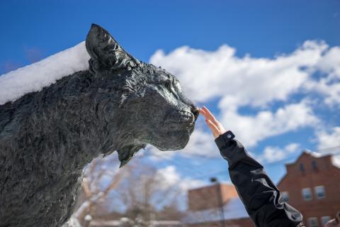 Student touching the nose of the wildcat statue