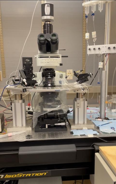The electrophysiology rig that the author learned to use during his summer research.