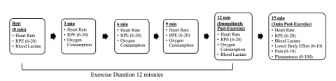 Sullivan Figure 2