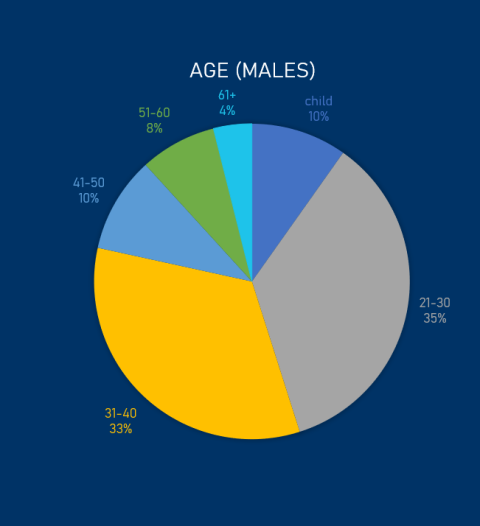 Pie chart 