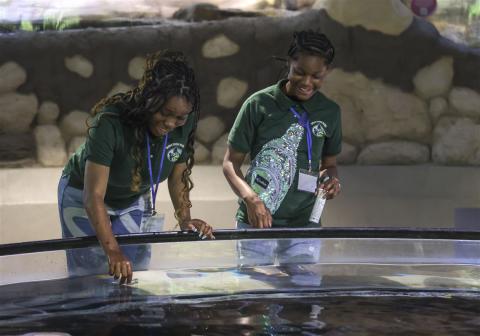 Detroit students take water sample from Toledo Zoo