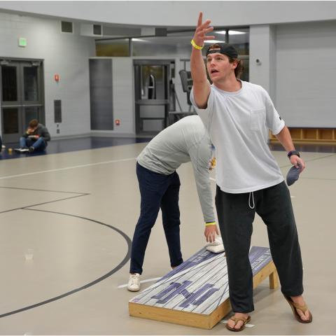 Indoor Lawn Games