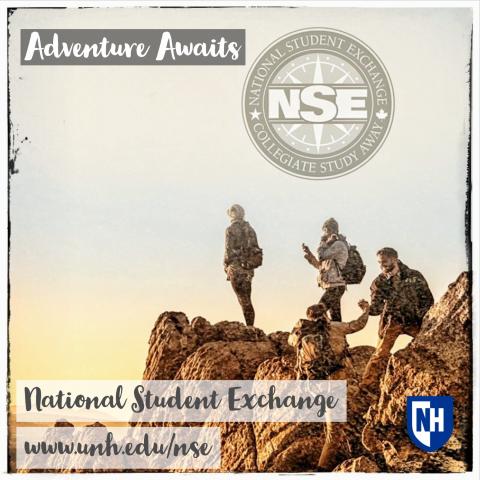 NSE students on top of a mountain