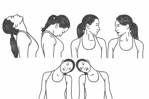 neck stretches handout