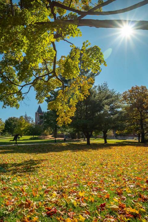 UNH Campus in the fall