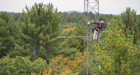 UNH researcher high above a forest on a research tower