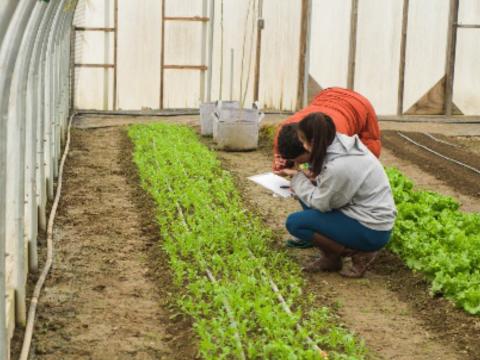 researchers recording data in a greenhouse