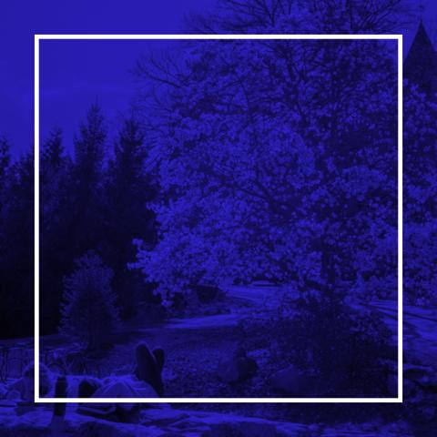 blue photo background with white border
