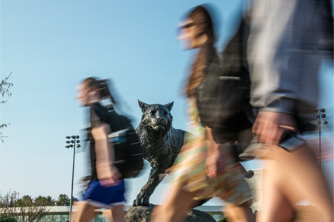 Blurry photo of students walking past wildcat statue on Durham campus