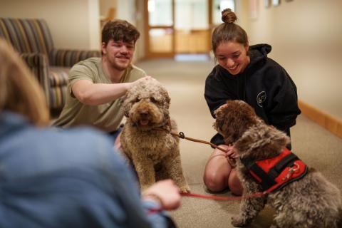 UNH students with therapy dogs