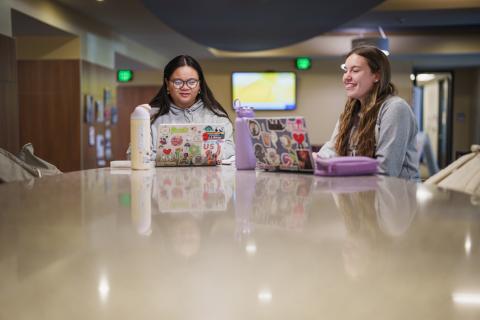 UNH students studying on laptops