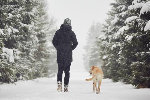 woman walking in snow with dog