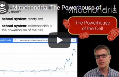 Thumbnail for Bozeman Science's video "Mitochondria: The Powerhouse of the Cell"