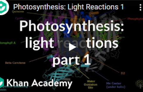 Thumbnail for Khan Academy's video on photosynthesis, the first part of a multipart series
