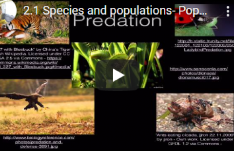Thumbnail for Cara Marlowe's "Species and populations" video