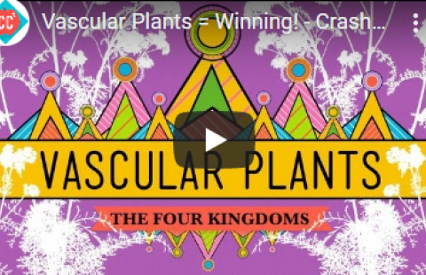 Thumbnail for Crash Course's vascular plants video
