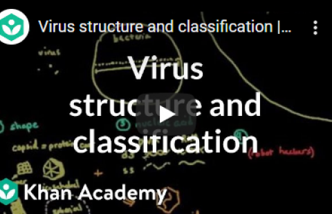 Thumbnail for Khan Academy's video "Virus structure and classification"