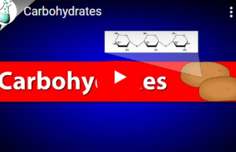Thumbnail for the video on Carbohydrates