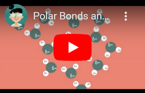 Polarity - Teacher's Pet video