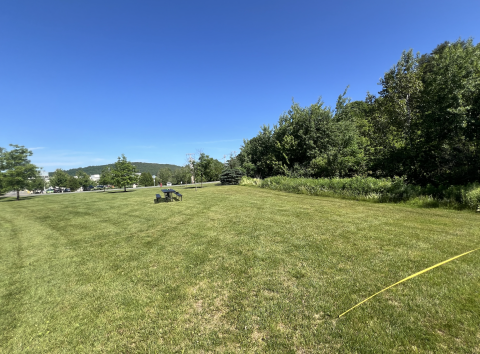 Green grass field, trees on the sides, and blue sky