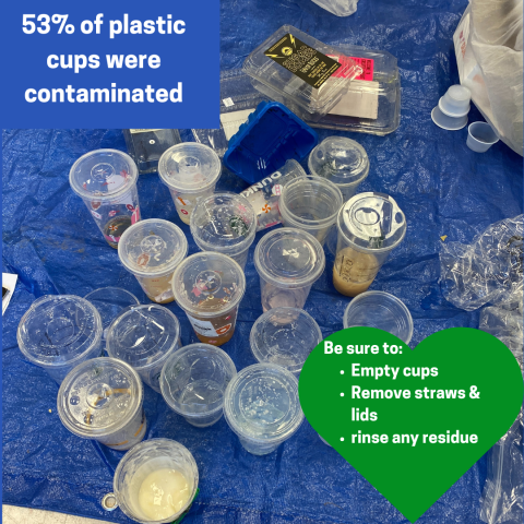 A variety of plastic cups and lids with liquid in them with text "53% of plastic cups were contaminated. Be sure to empty cups, remove straws and lids, rinse any residue