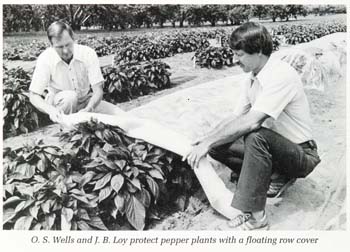 UNH plant biology professors Otho Wells and Brent Loy in a 1987 photo