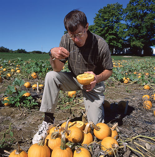 Brent Loy in a pumpkin patch