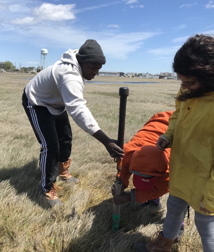 Students collect sediment core in salt marsh.