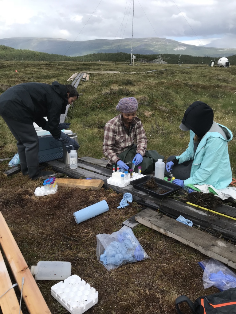 Three graduate students collect data in Arctic permafrost.