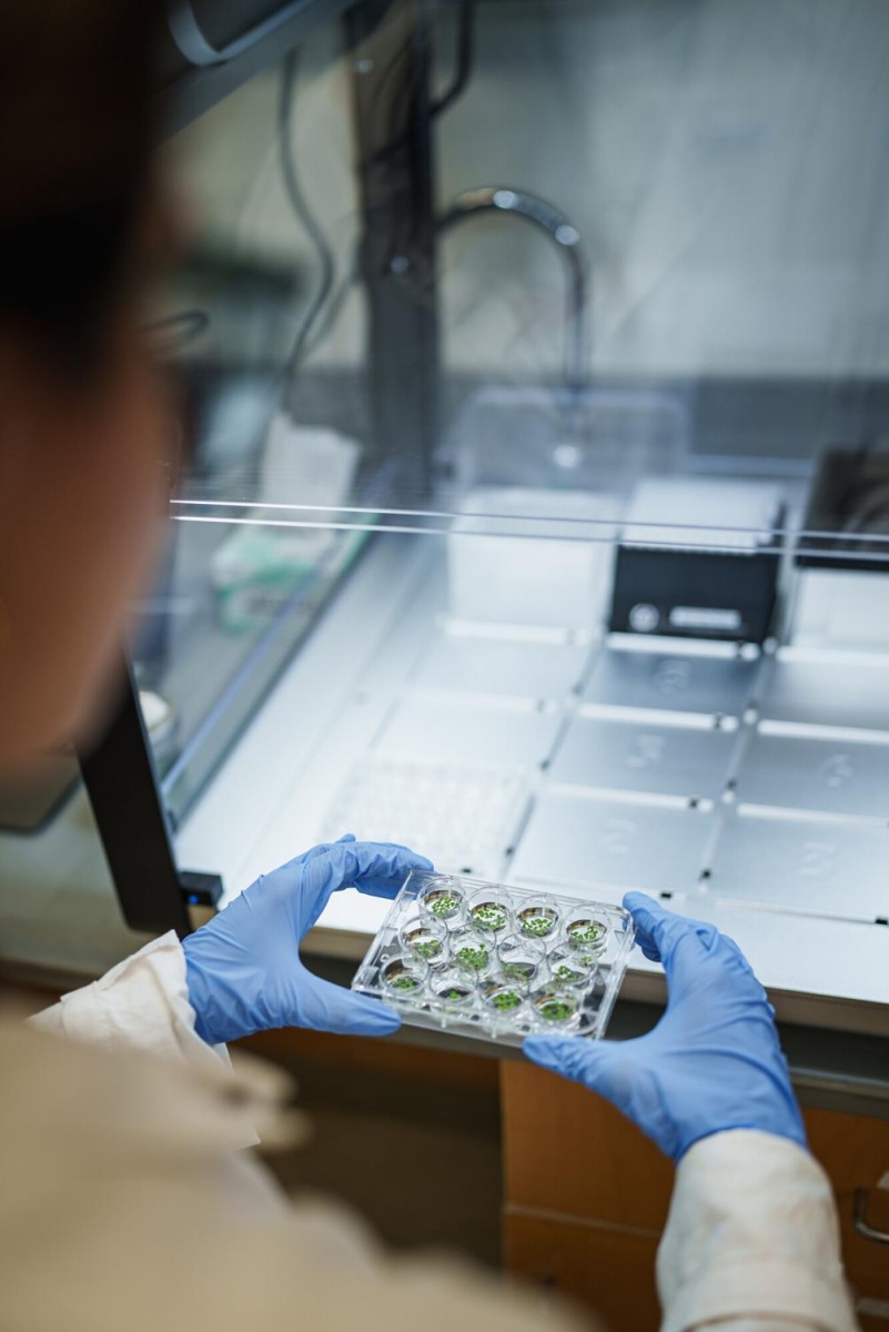 A researcher holds a sample tray containing specimens for synthetic microbiome research.