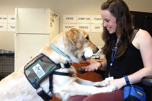 UNH alumna Jennifer Blessing 'works with a service dog in training